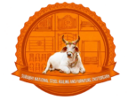 Surbhi National Steel